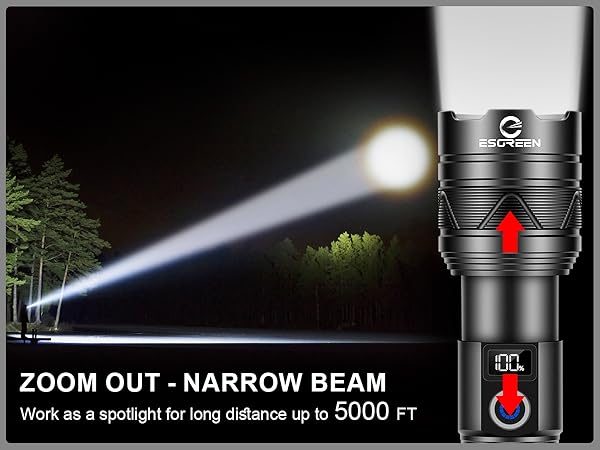 Flash torch