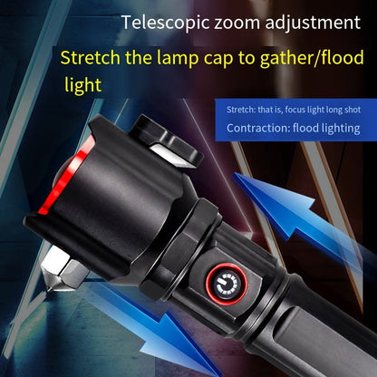 Flash torch